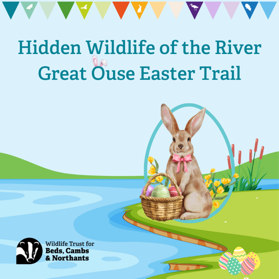 Easter Trail