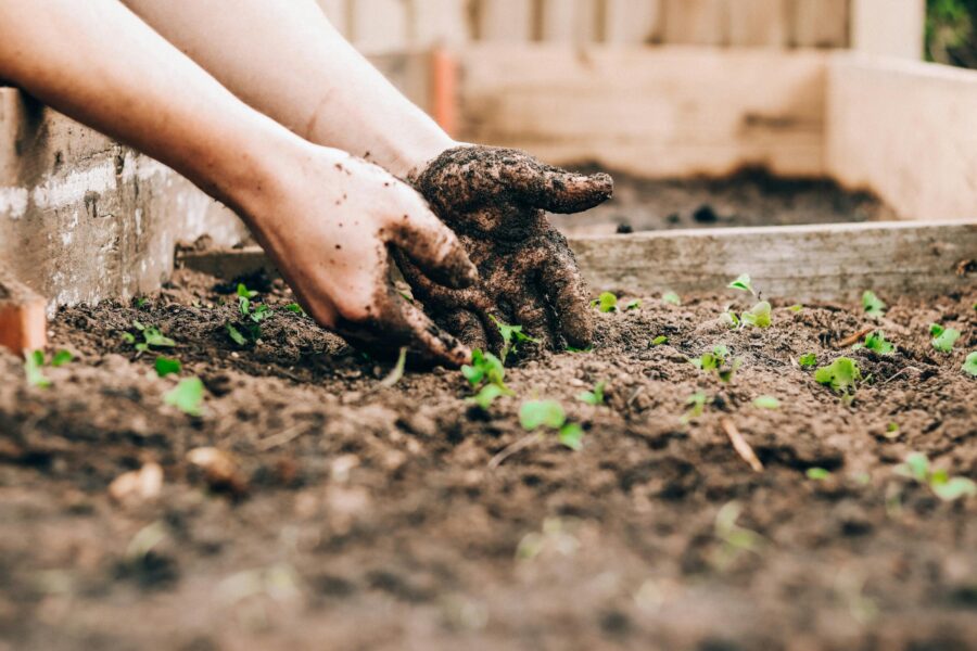 Two hands working with soil